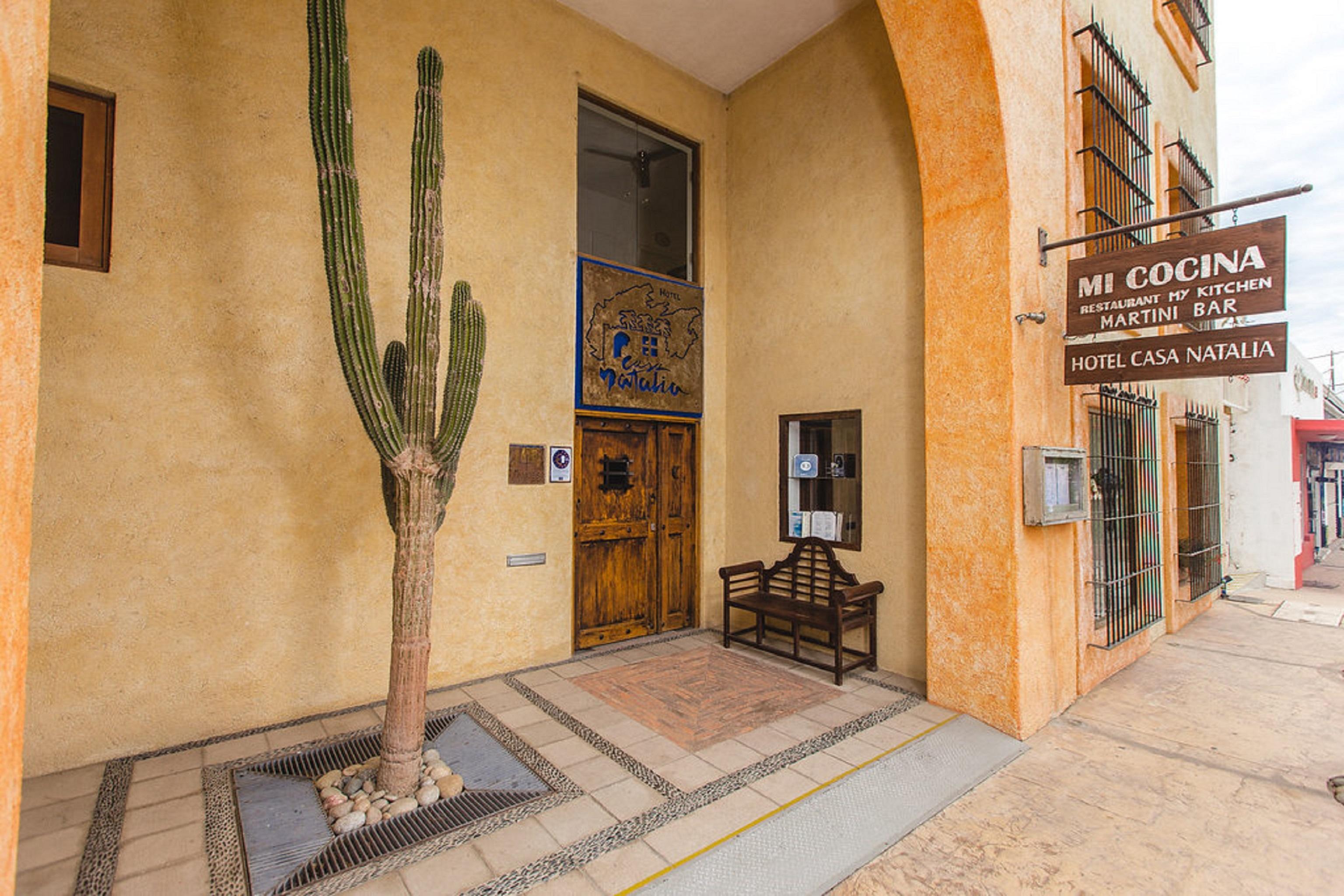 Casa Natalia Boutique Hotel Adults Only San José del Cabo エクステリア 写真